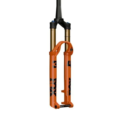 cyklosvec20260701013056661380