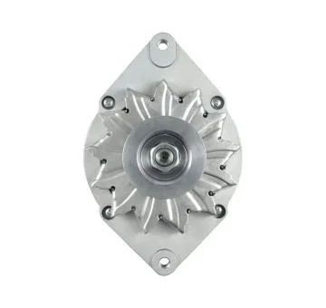 elancar-120260701053851755563