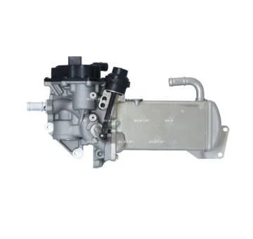 elancar-420260630214511576166