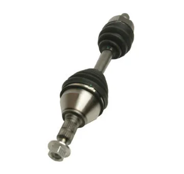 elancar-620260630164923469131