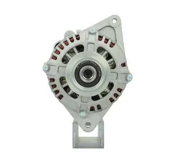 elancar-620260630210235560600