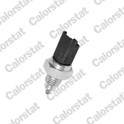 motora-620260630172103479899