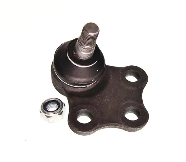 motora-620260630210556561761