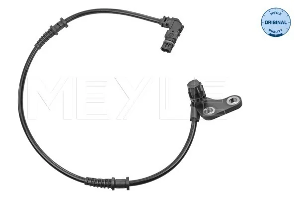 motora-620260630212346568350
