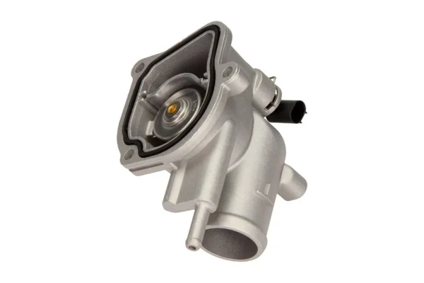 motora-620260630231233609345