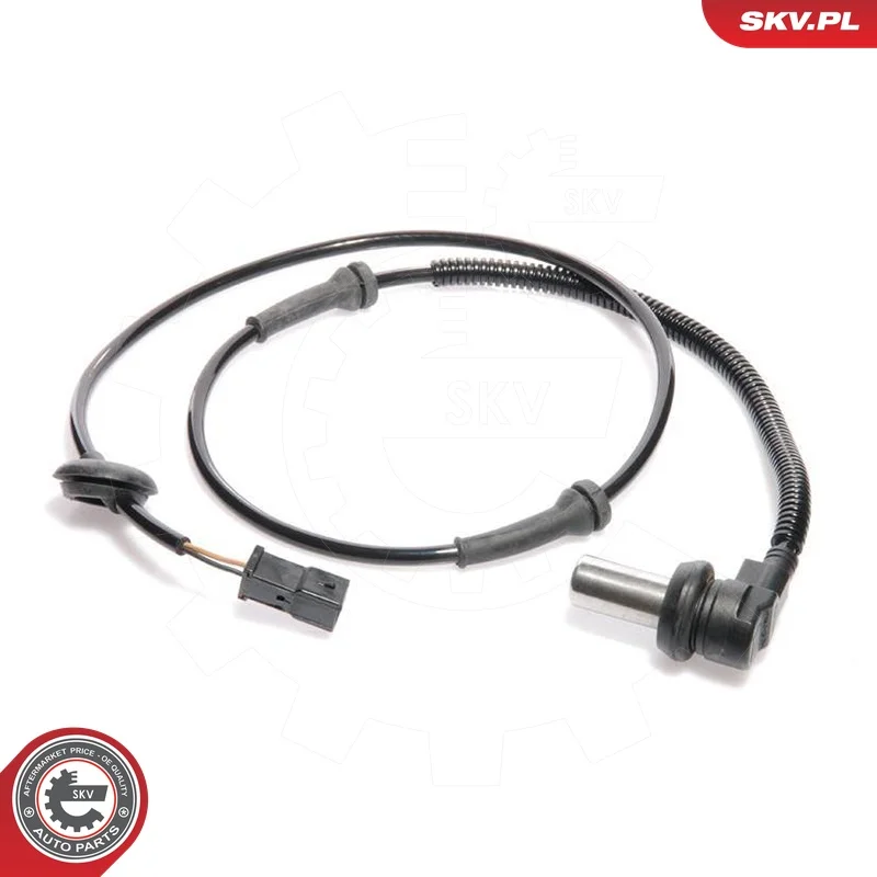 motora-620260701023723683671