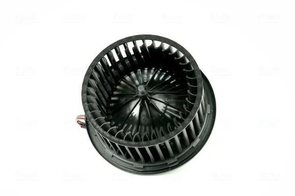 motora-620260701060306763984