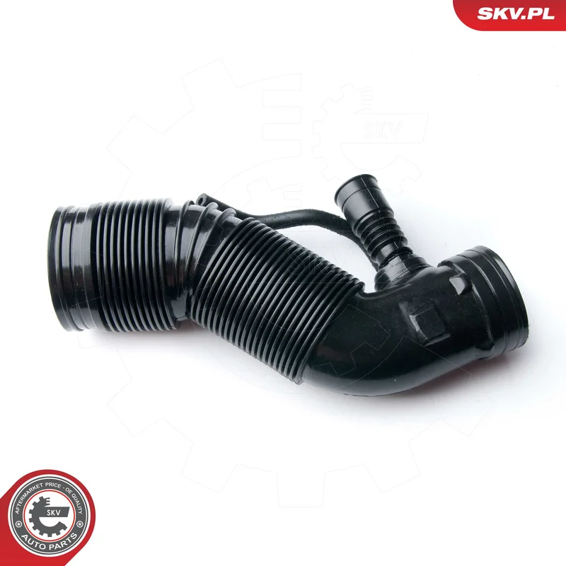 motora-620260701061707768329