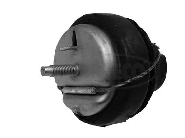 motora-620260701062725771926