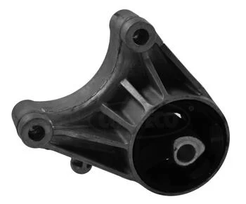 motora-620260701063724775794