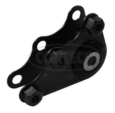motora-620260701063734775863