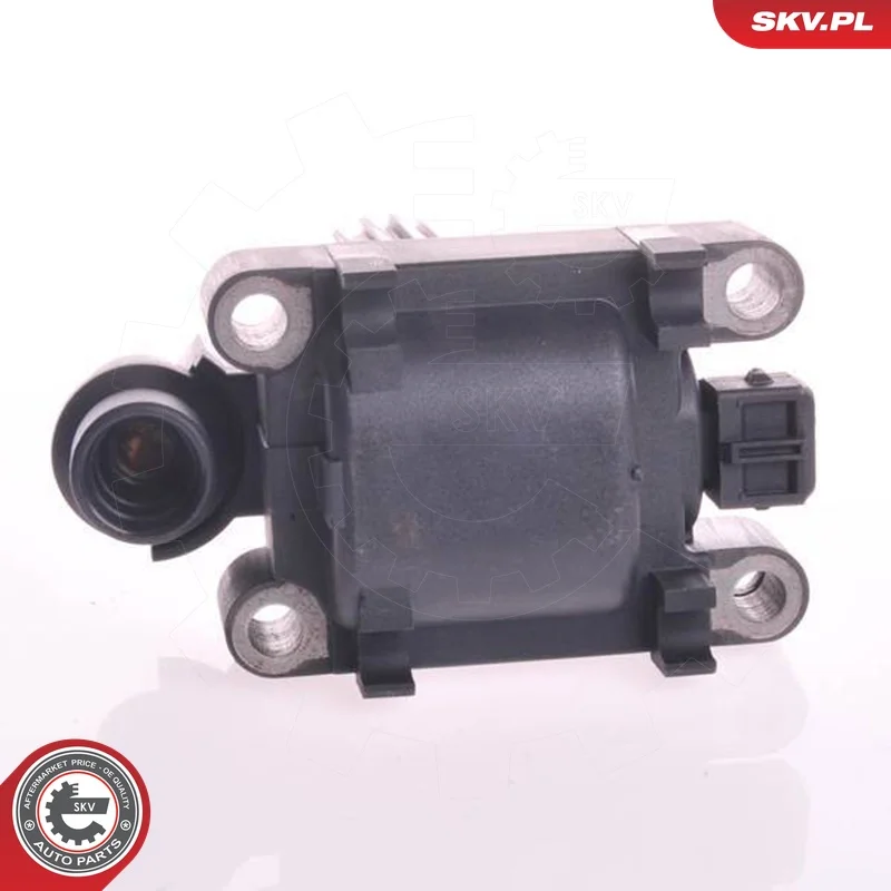 motora-620260701065032780861