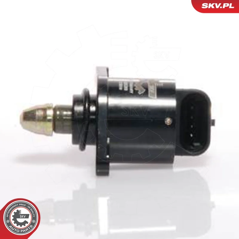 motora-620260701080527808948